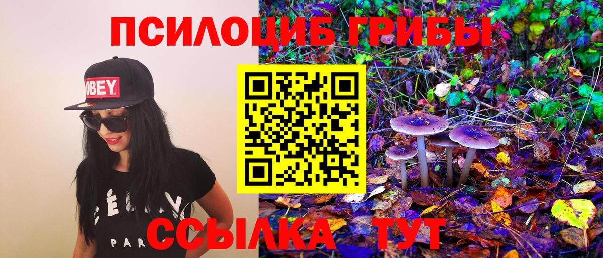 Псилоцибиновые грибы GOLDEN TEACHER Зеленокумск