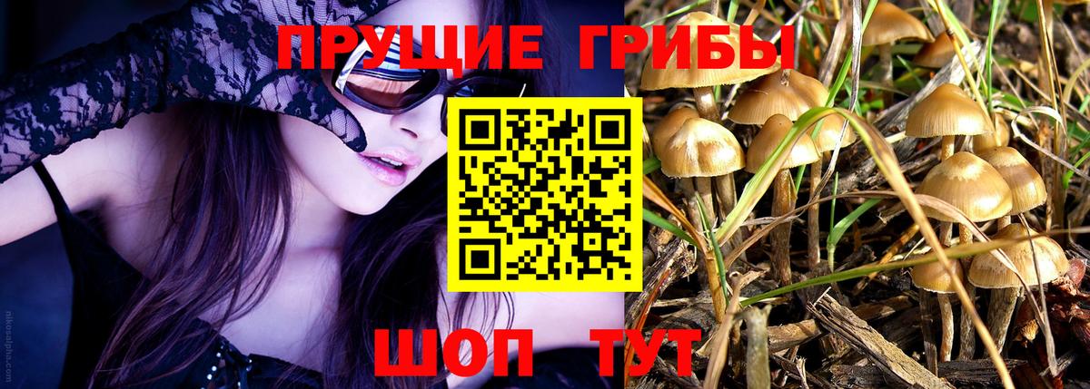 Псилоцибиновые грибы мухоморы  Вход с VPN  Псилоцибиновые грибы ЛСД  Зеленокумск 